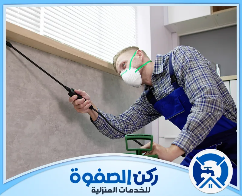 شركة مكافحة حشرات في راس الخيمة