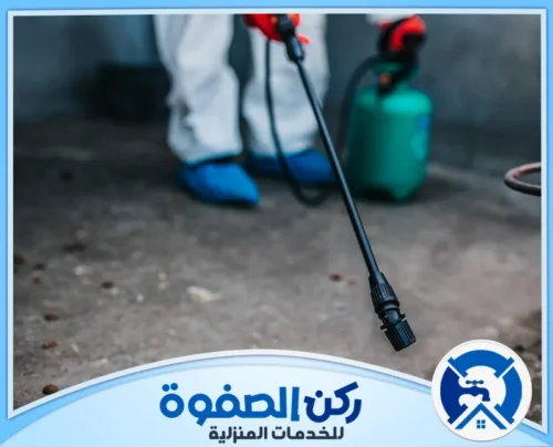 افضل شركة مكافحة حشرات في راس الخيمة افضل شركة مكافحة حشرات في راس الخيمة