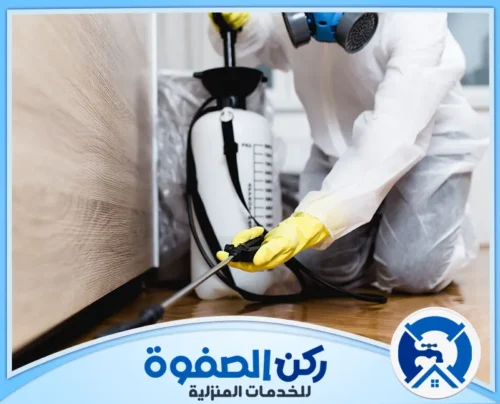 شركة رش حشرات في راس الخيمة شركة رش حشرات في راس الخيمة