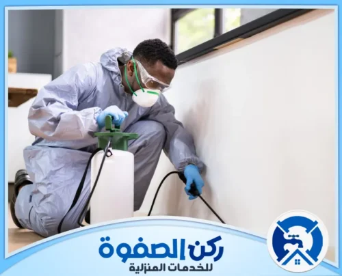 مكافحة صراصير المطبخ في راس الخيمة مكافحة صراصير المطبخ في راس الخيمة