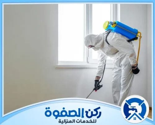 مكافحة الفئران في راس الخيمة مكافحة الفئران في راس الخيمة