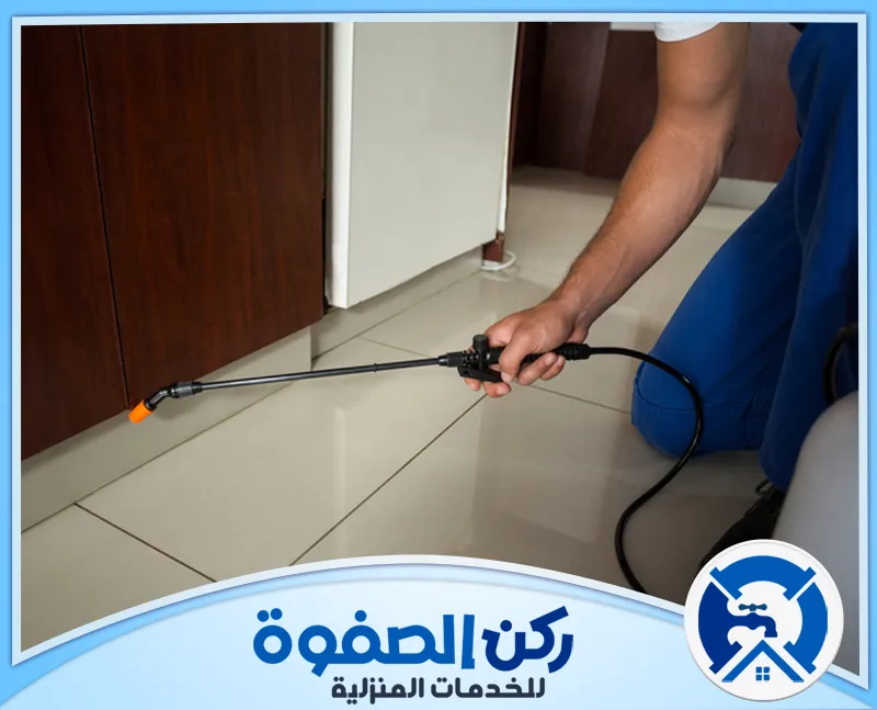 شركة مكافحة الرمة في ابوظبي 0547256613 ركن الصفوة نقوم في شركة مكافحة النمل الابيض في ابوظبي بتقديم حلول فعّالة وآمنة للتخلص من النمل الأبيض باستخدام مبيدات معتمدة وأدوات متطورة لضمان القضاء التام على هذه الآفة.