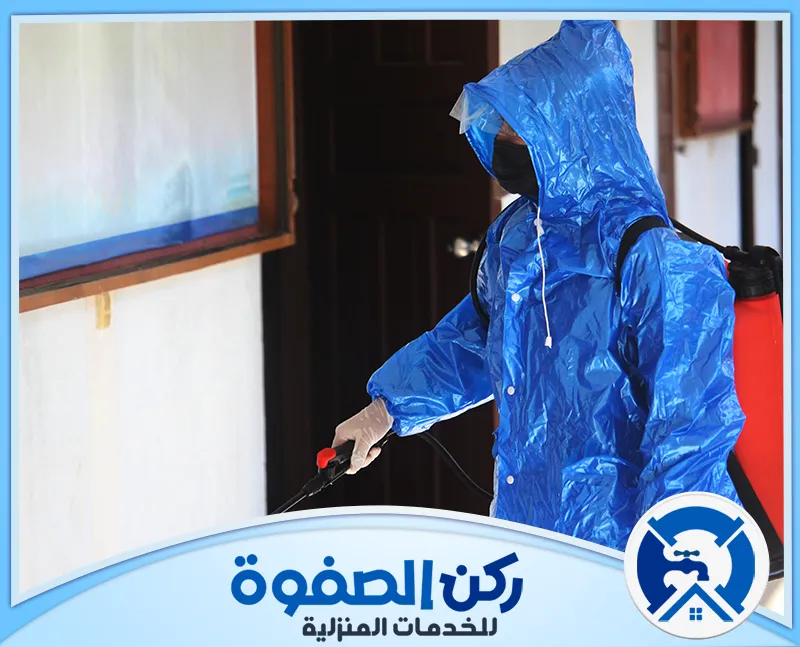 شركة مكافحة حشرات في الفجيرة