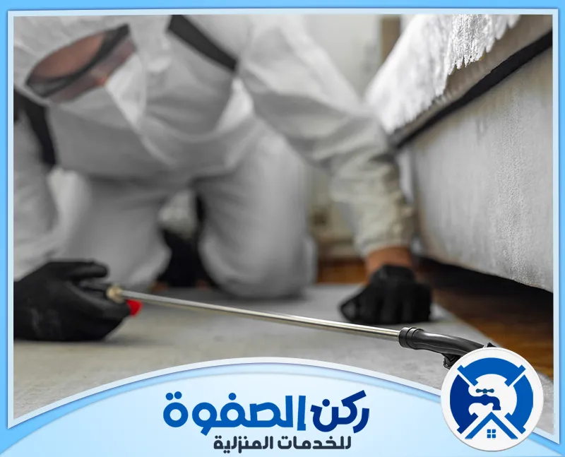 شركة مكافحة حشرات في العين