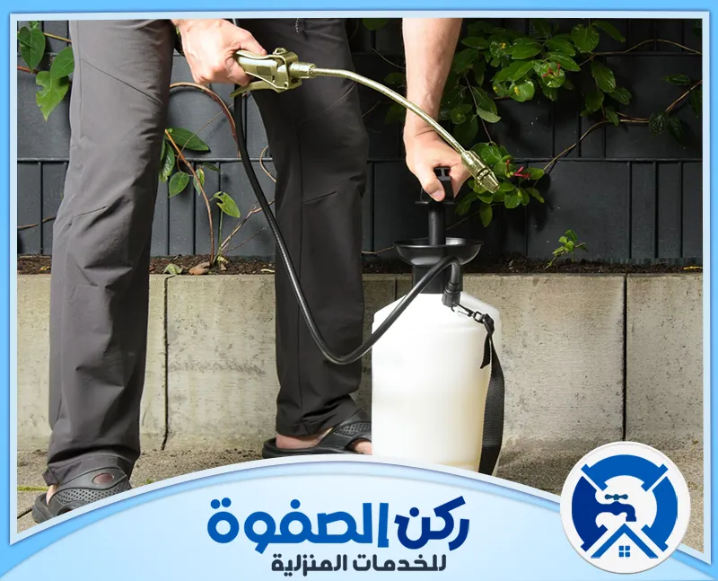 شركة مكافحة حشرات في دبي