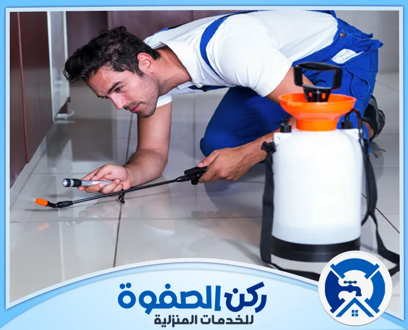 شركه مكافحه النمل الأبيض في ابوظبي 0547256613 | ركن الصفوة نقدم في شركة مكافحة الحشرات في ابوظبي حلولًا فعّالة باستخدام مبيدات حشرية آمنة لضمان بيئة خالية من الآفات.