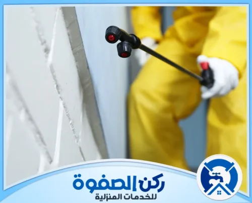 افضل شركة مكافحة حشرات في العين 0547256613 ركن الصفوة يقوم فني شركتنا بمكافحة حشرات العين باستخدام أفضل جهاز مكافحة الحشرات لضمان بيئة صحية وآمنة.
