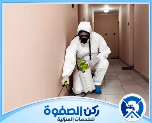 افضل شركة مكافحة حشرات في دبي 0547256613 ركن الصفوة شركة مكافحة حشرات دبي تقدم حلولًا فعالة وآمنة للتخلص من الحشرات باستخدام أحدث التقنيات وبضمان جودة الخدمة.