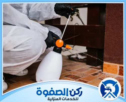 شركة رش حشرات في عجمان شركة رش حشرات في عجمان