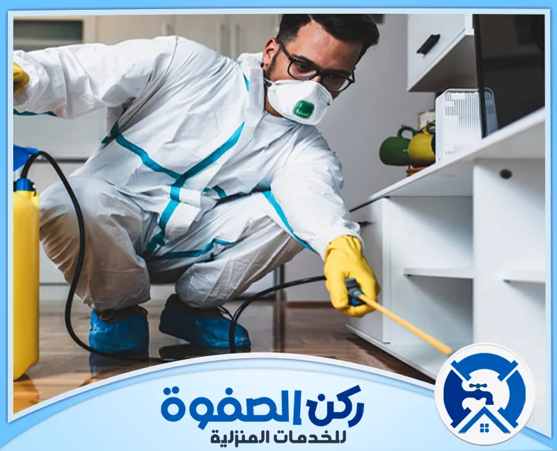 شركة مكافحة الفئران في ابوظبي 0547256613 | ركن الصفوة شركة مكافحة الفئران في ابوظبي تقدم حلولًا فعّالة وآمنة للتخلص من الفئران وحماية منزلك من الآفات المزعجة.