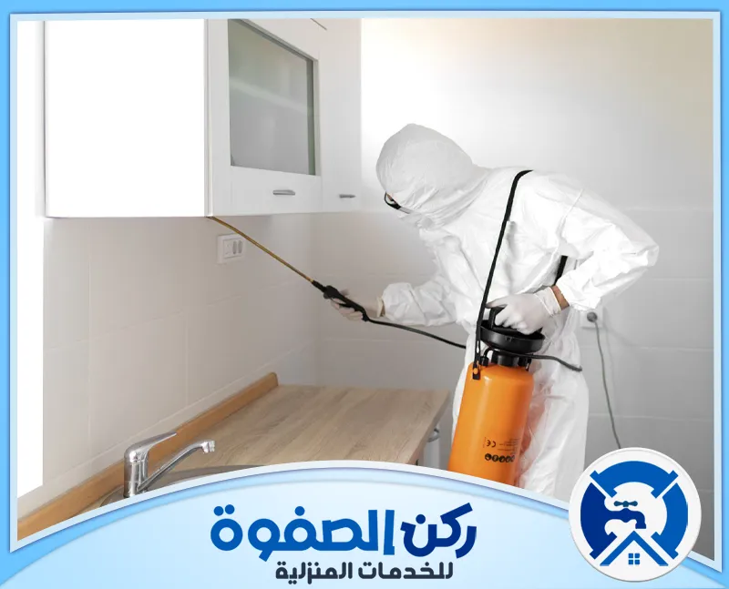 أرخص شركة مكافحة حشرات في ابوظبي أرخص شركة مكافحة حشرات في ابوظبي