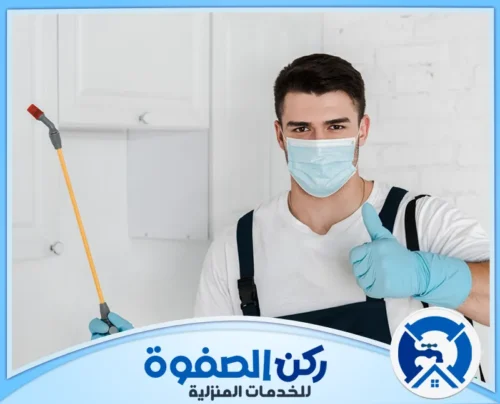 مكافحة حشرات المنزل في عجمان مكافحة حشرات المنزل في عجمان
