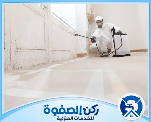 مكافحة النمل الابيض في الفجيرة 0547256613 ركن الصفوة شركة مكافحة الحشرات في الفجيرة تقدم خدمات متكاملة للقضاء على جميع أنواع الحشرات باستخدام تقنيات حديثة وآمنة لضمان راحة وسلامة العملاء.