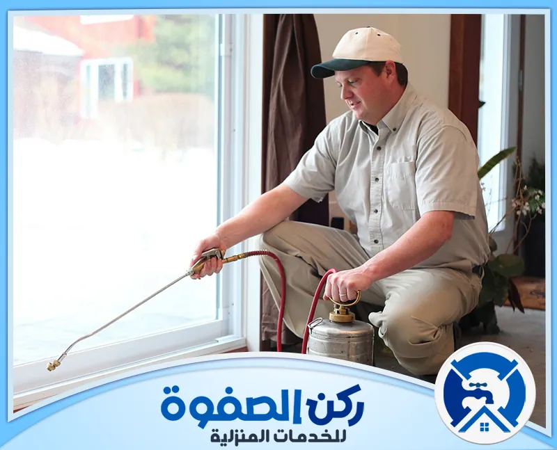 شركة مكافحة حشرات في ابوظبي