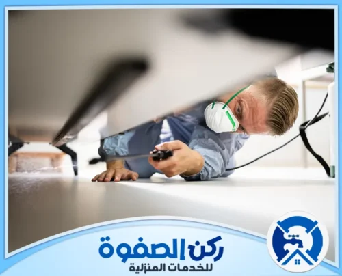 مكافحة البعوض في العين 0547256613 ركن الصفوة نحن نساعدك في تنظيف البيت من الحشرات في العين والتخلص منها، حتى في الأماكن والزاويا التي يصعب الوصول إليها.