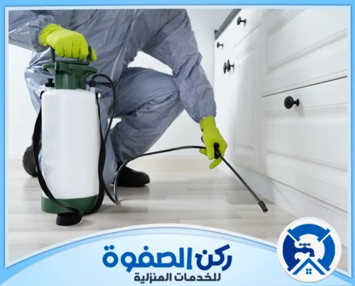 اسعار شركة مكافحة حشرات في عجمان اسعار شركة مكافحة حشرات في عجمان