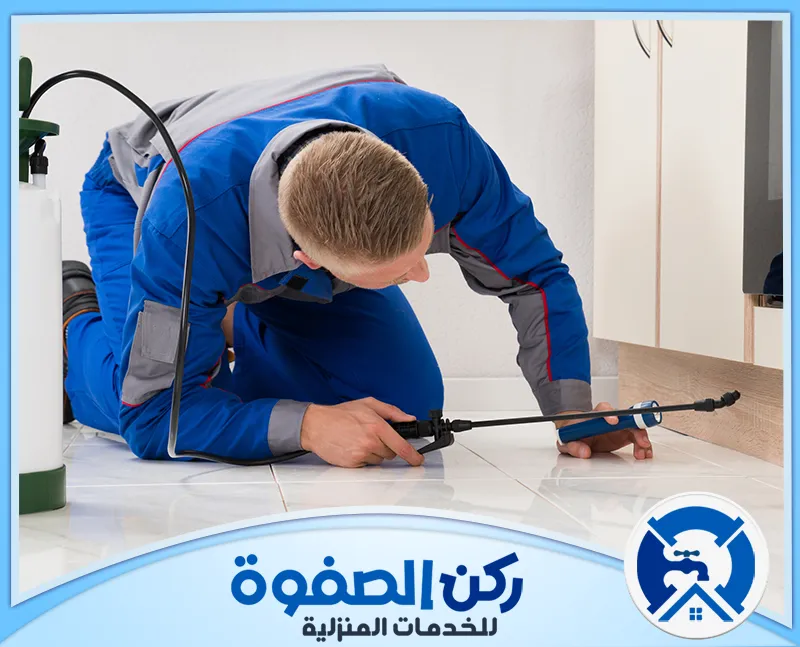 شركة مكافحة حشرات في ام القيوين