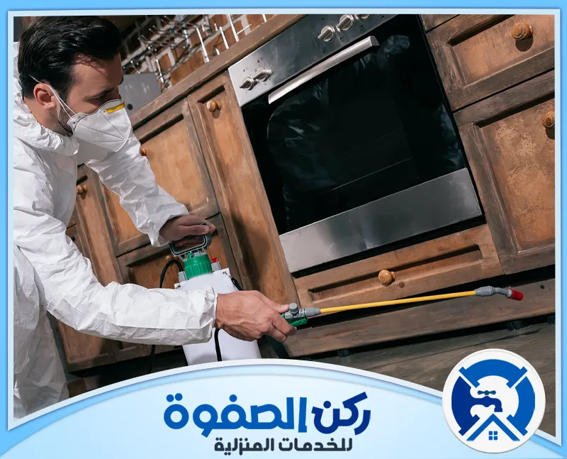 شركة مكافحة حشرات في الشارقة
