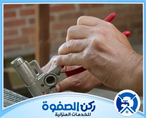 افضل شركة مكافحة الحمام في الامارات افضل شركة مكافحة الحمام في الامارات